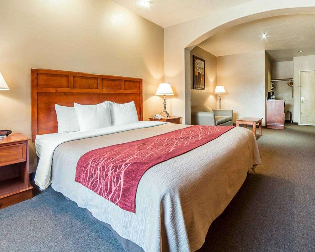 Comfort Inn At Convention Center Saint George Номер фото
